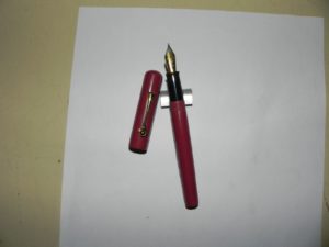Finally, the show pen!
